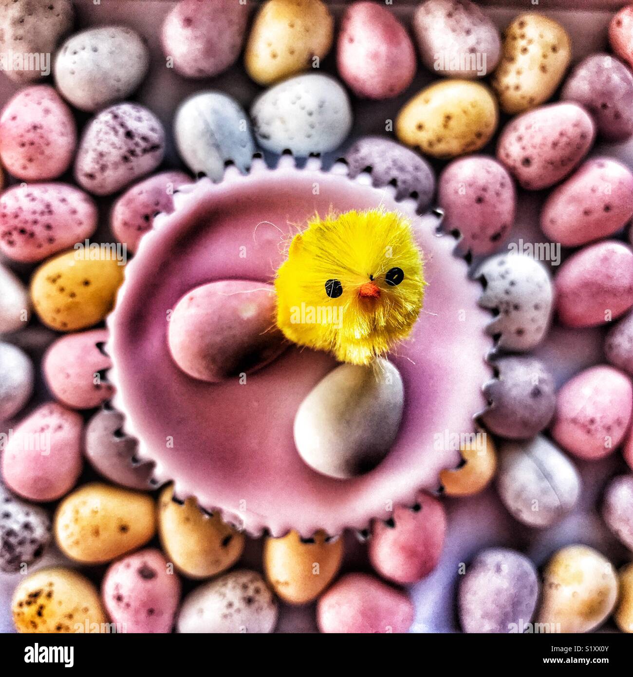 Sponge cupcake decorated with an Easter chick, pink icing and sugar coated chocolate Easter Eggs, surrounded by many Easter eggs - Smartphone Captured Stock Image