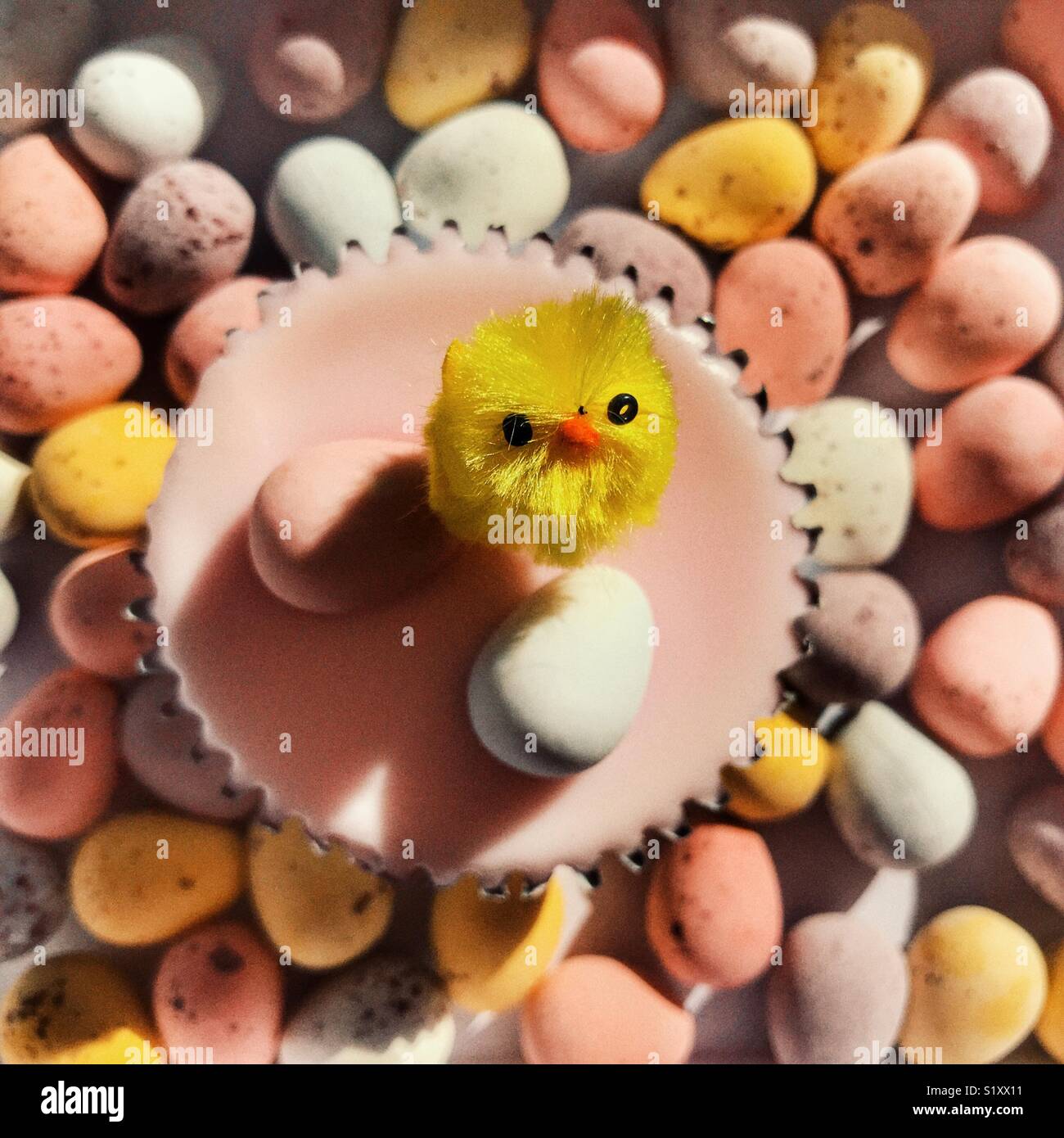 Sponge cupcake decorated with an Easter chick, pink icing and sugar coated chocolate Easter Eggs, surrounded by many Easter eggs - Smartphone Captured Stock Image