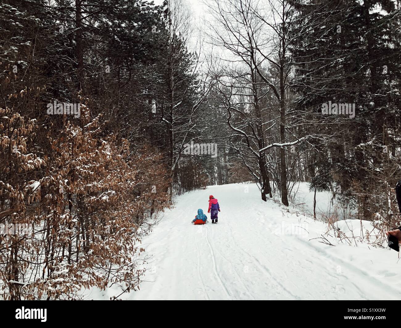 Brother and sister walking in the forent in winter Stock Photo - Alamy