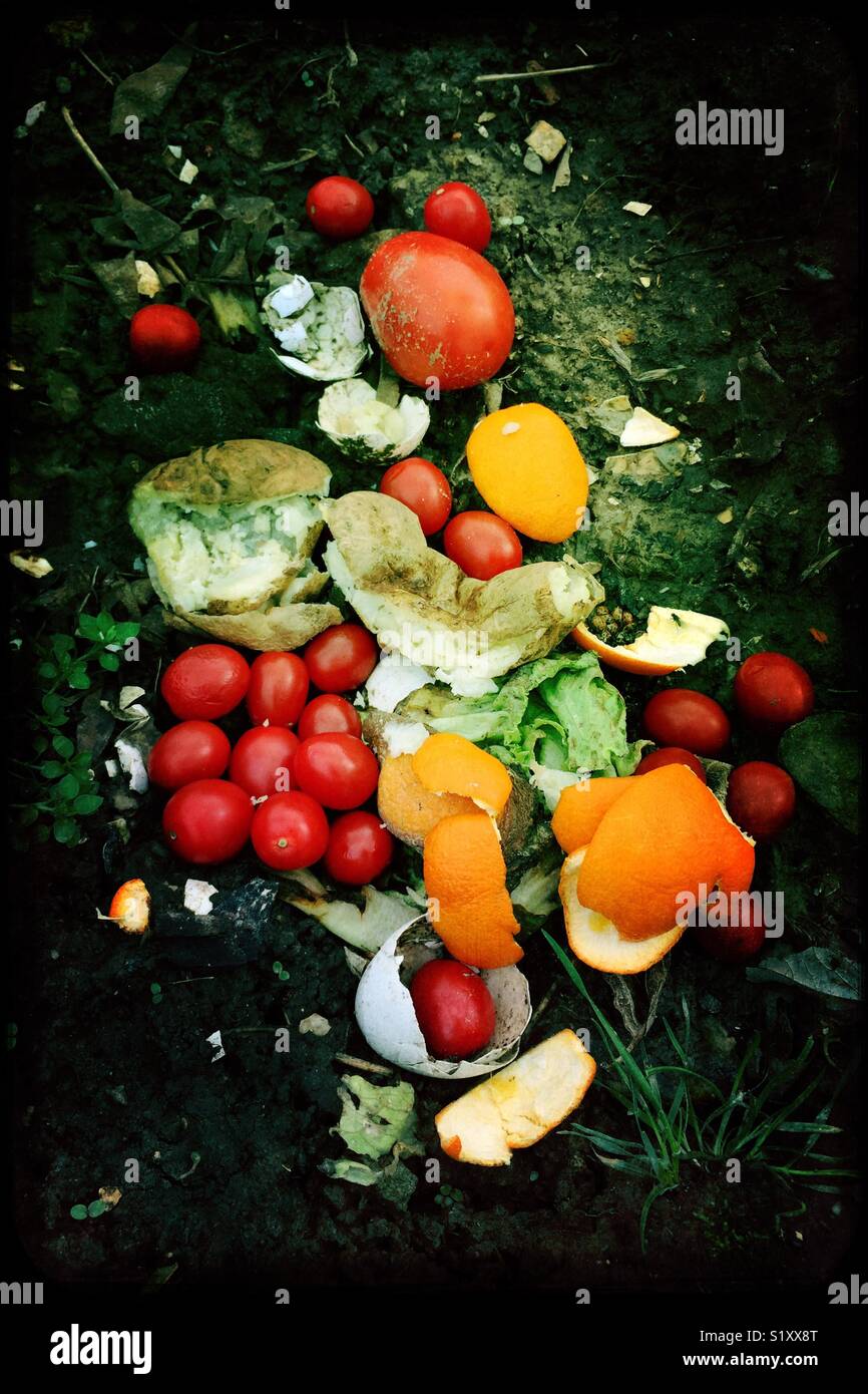 Food scraps in compost pile Stock Photo Alamy