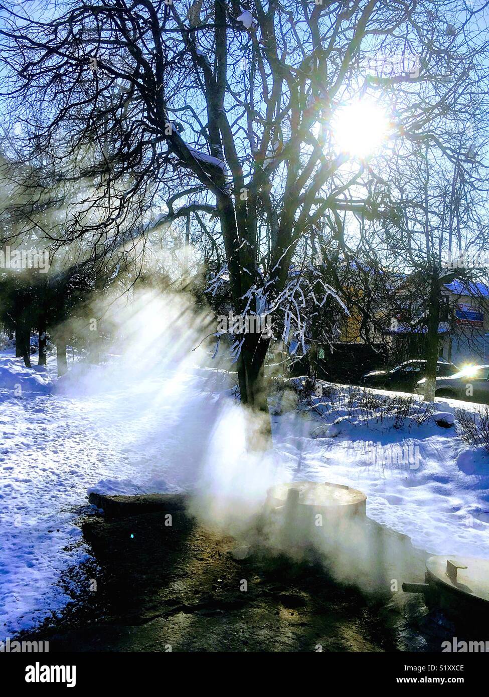 winter sun rays - Smartphone Captured Stock Image
