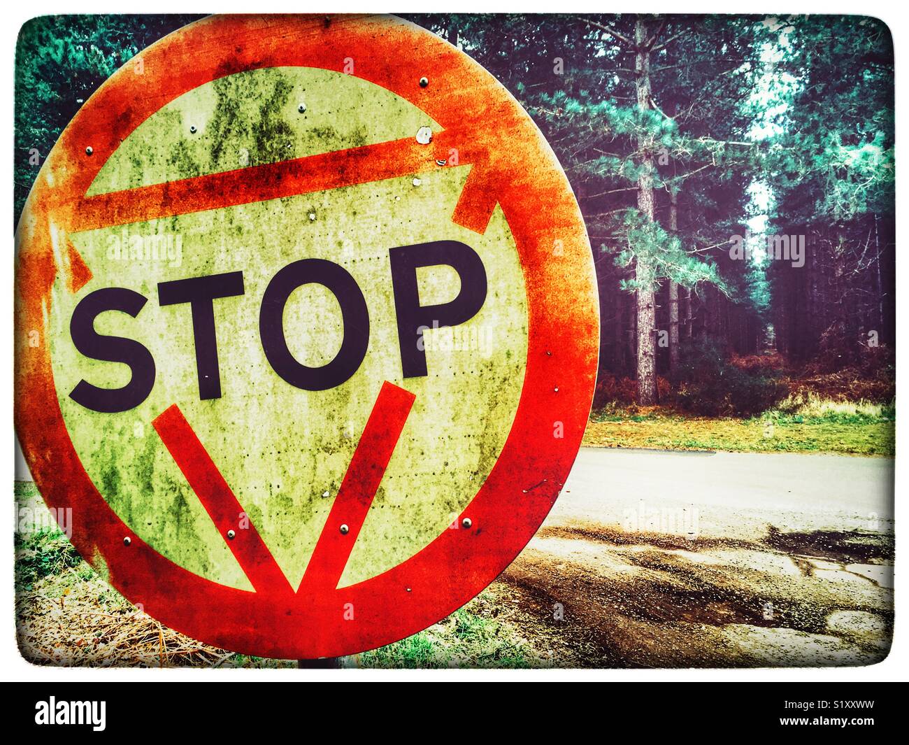 Stop road sign Rendelsham forest Suffolk England, where in December 1980 it was reported that a UFO crash landed in the forest close to an American Air Force base at Woodbridge. Stock Photo
