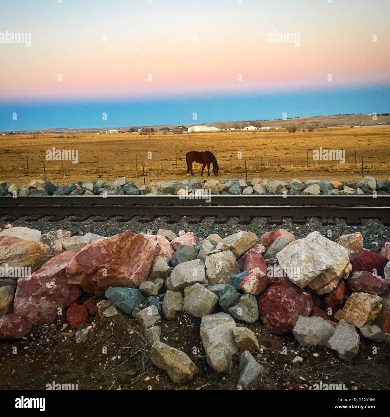 Horse plains hi-res stock photography and images - Alamy