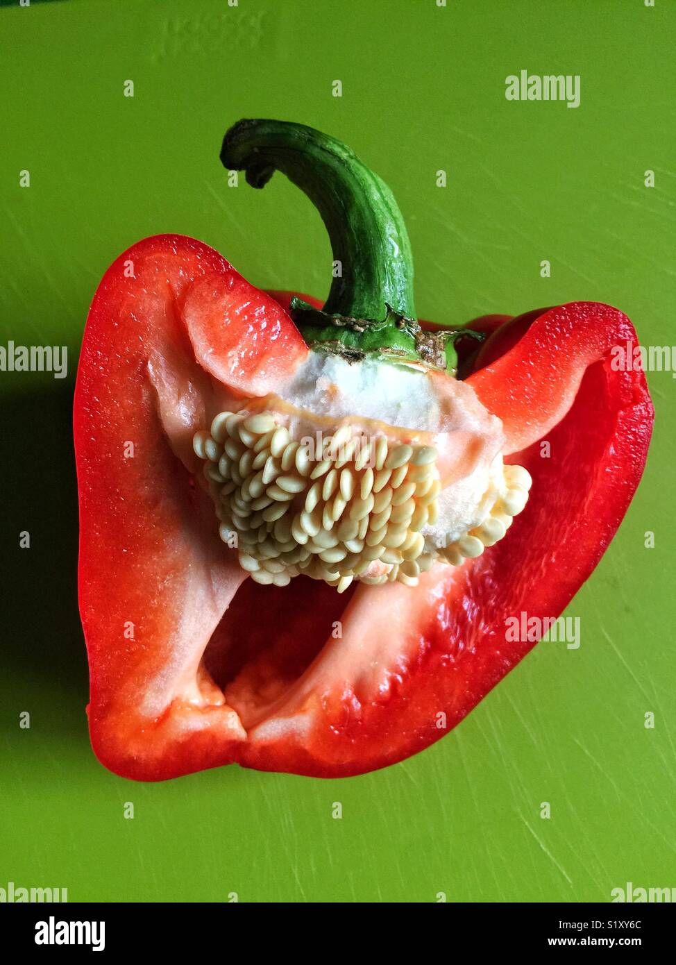 Vegetable and color theory - Smartphone Captured Stock Image