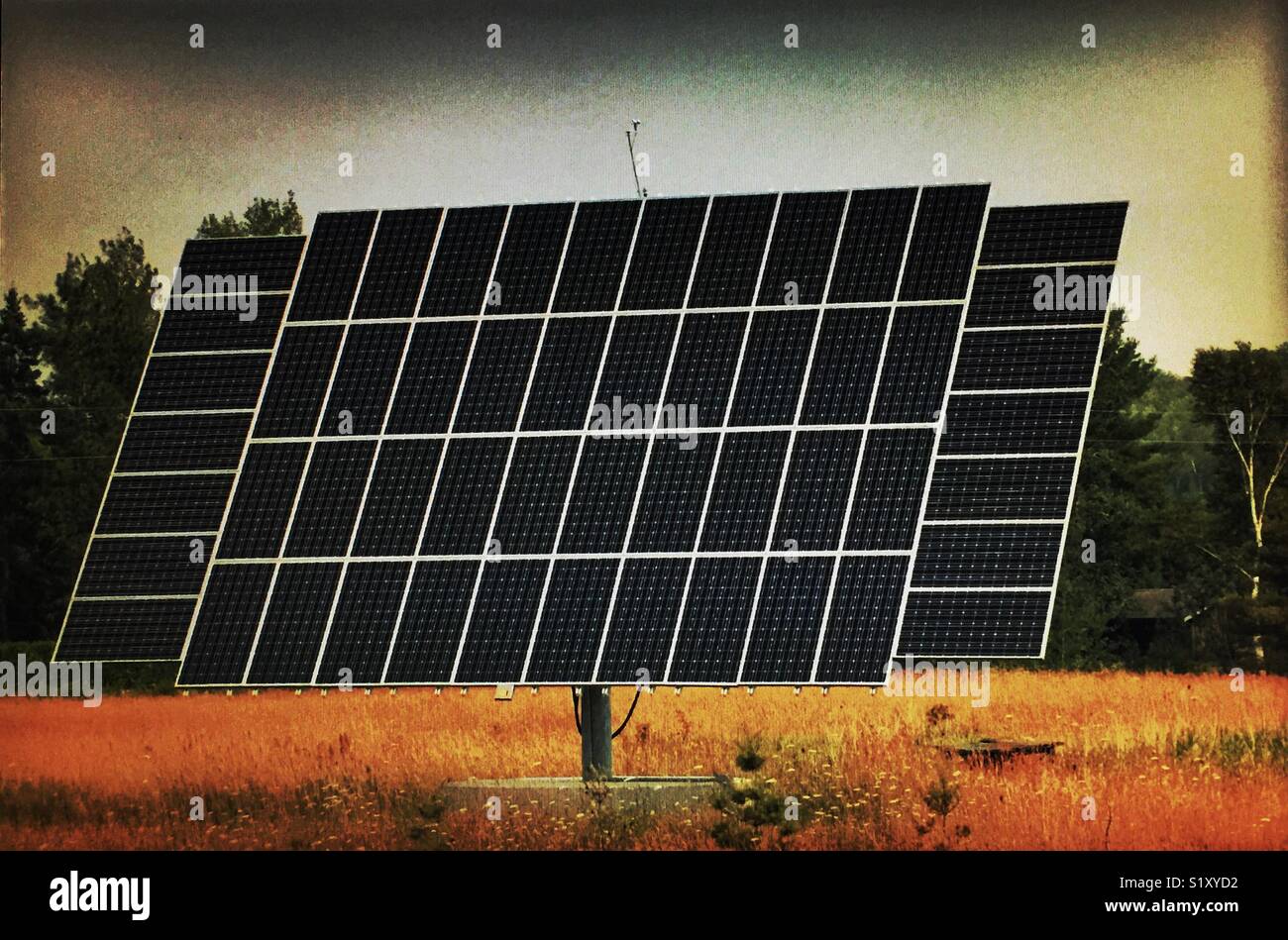 Solar panels farm - Smartphone Captured Stock Image