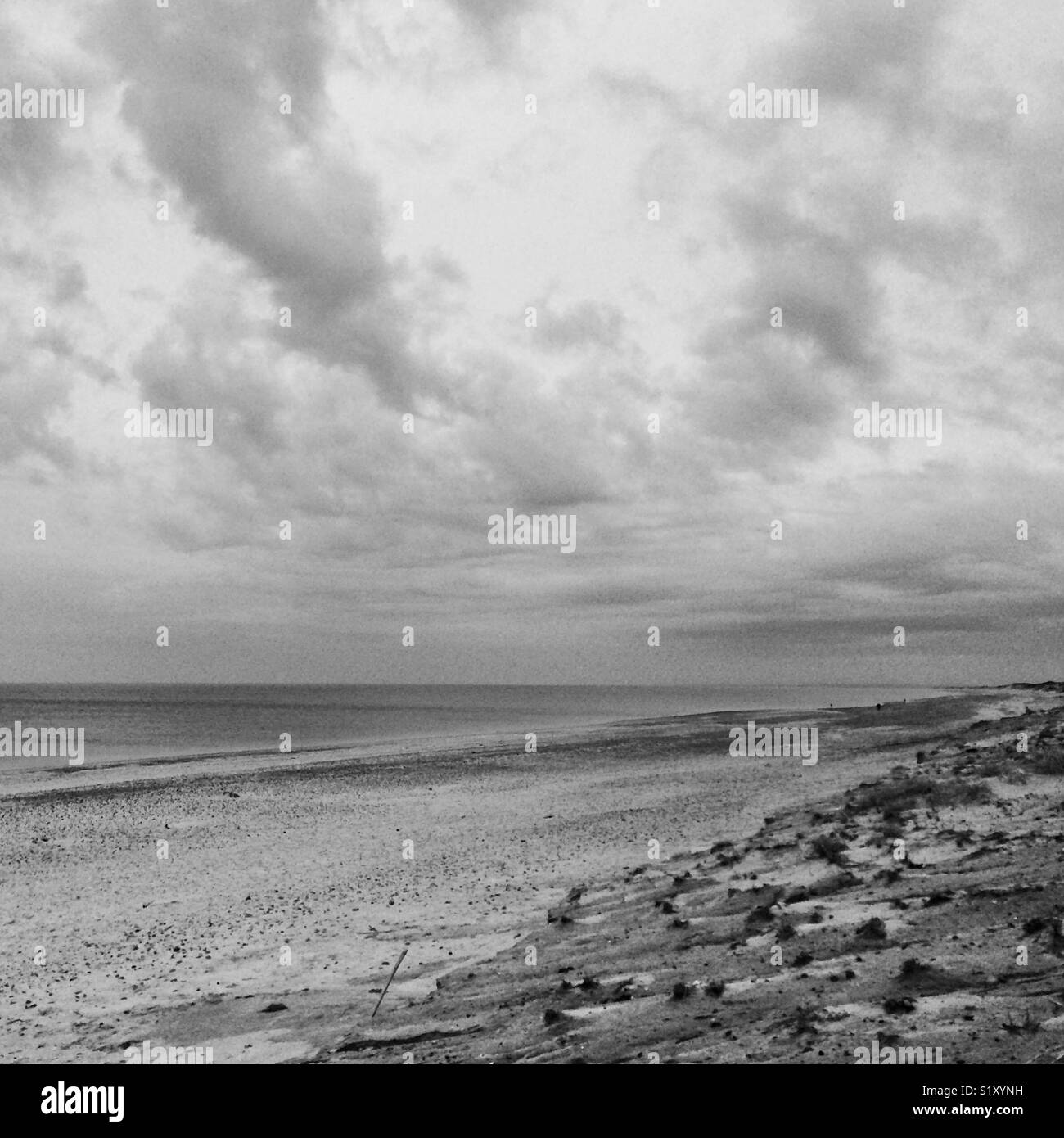 Winter view of a Cape Cod beach - Smartphone Captured Stock Image