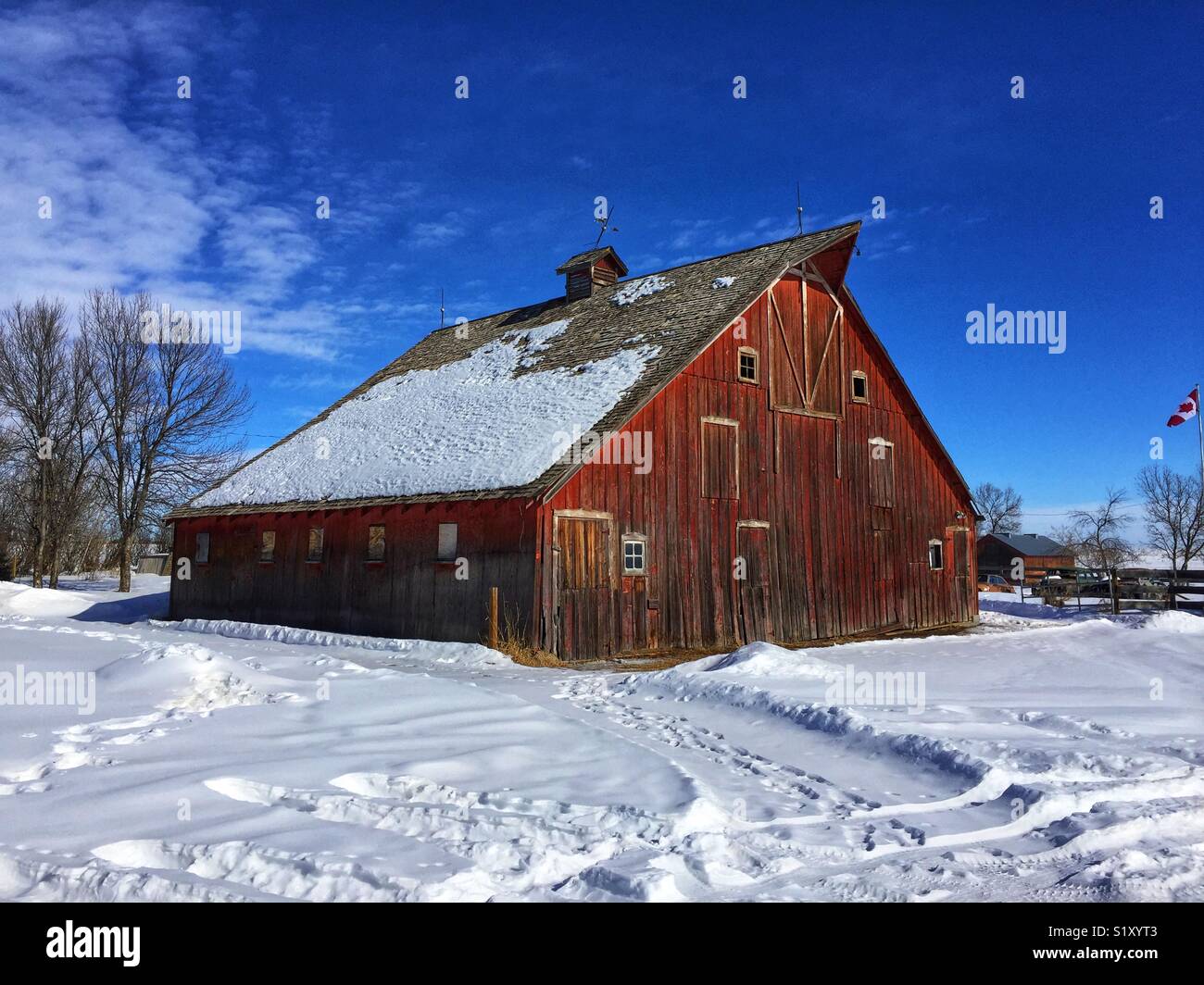 Old barn in Alberta, Canada Stock Photo Alamy