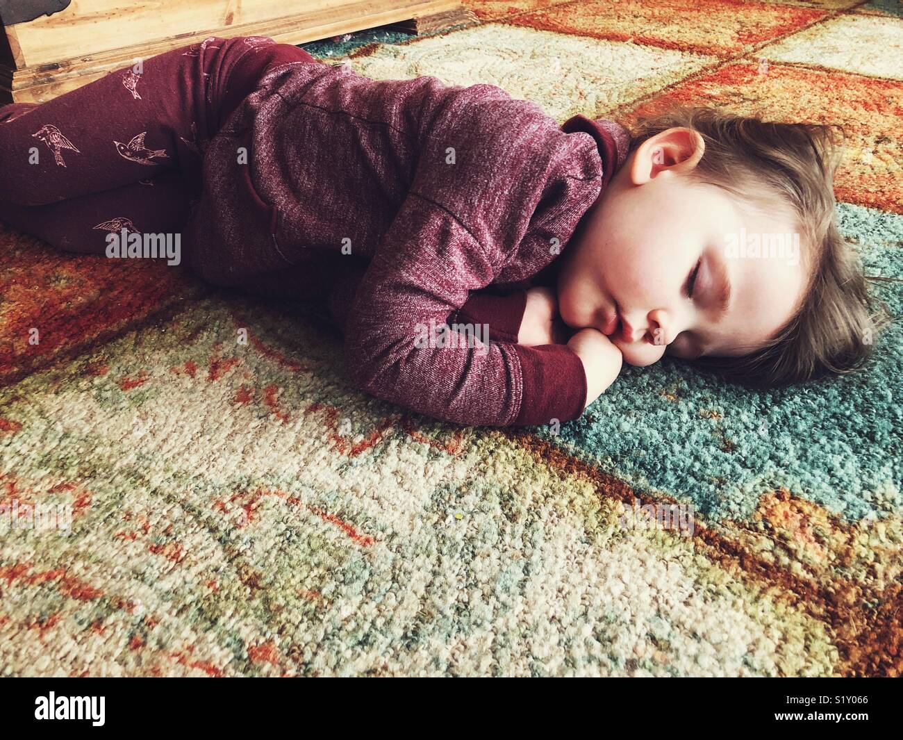 Toddler girl sleeping on carpeted floor Stock Photo Alamy
