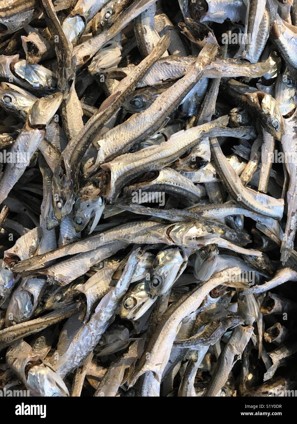 Dried fish japan hires stock photography and images Alamy