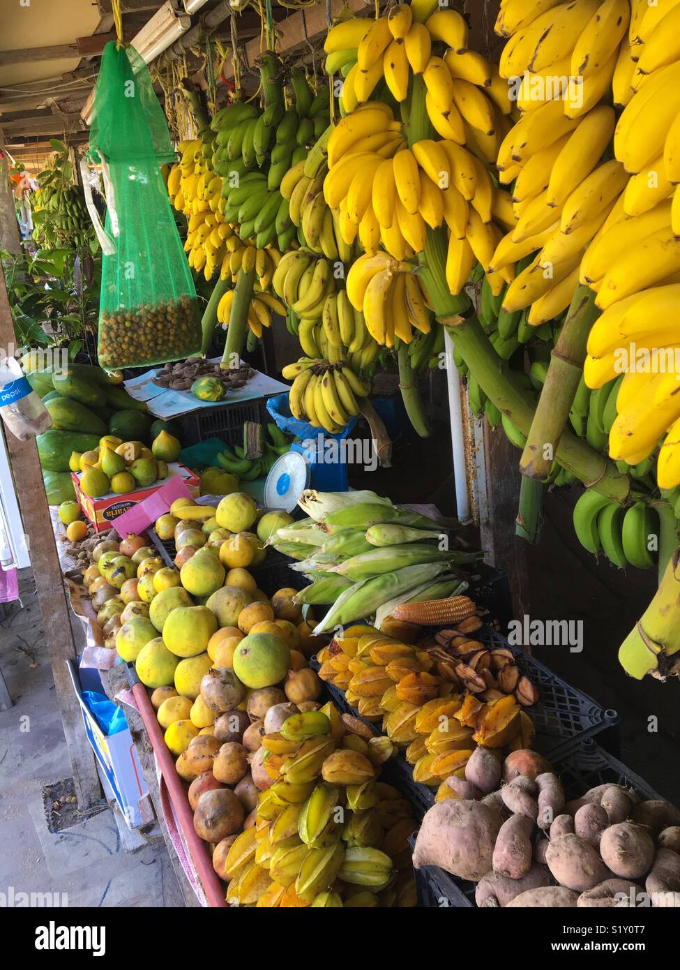 Fresh fruit stall. Salalah, Oman - Smartphone Captured Stock Image