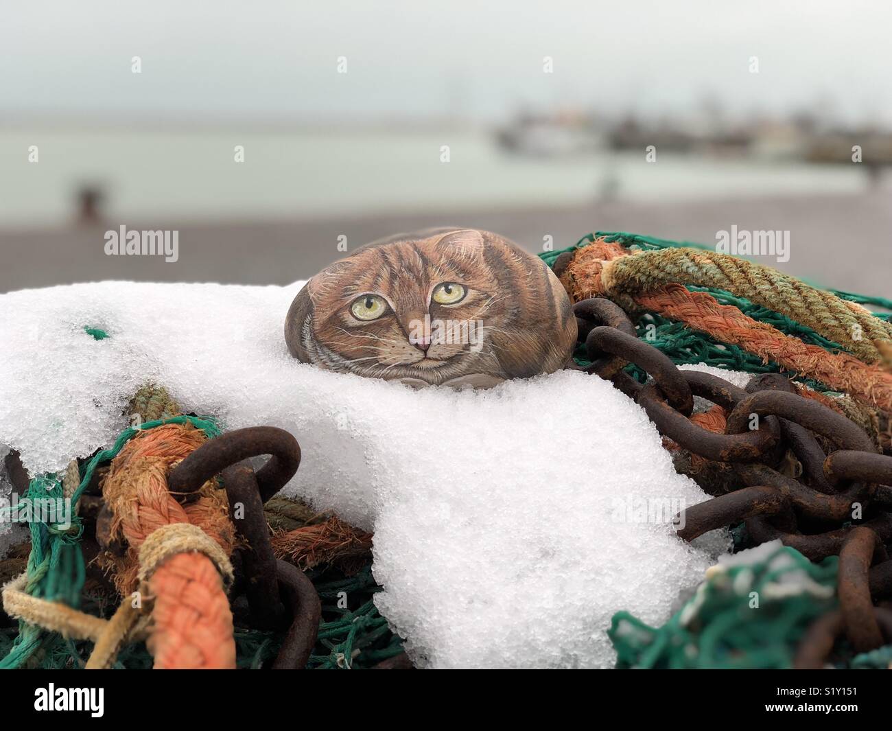 Stone cat on a fishing net, harbor of San Benedetto del Tronto, Italy - Smartphone Captured Stock Image
