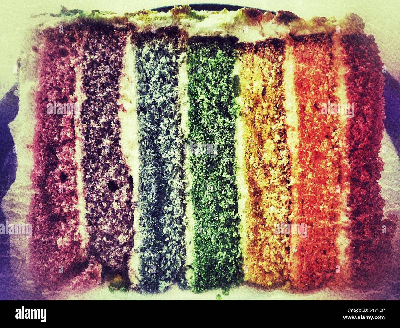 Slice of rainbow cake on a plate, close-up - Smartphone Captured Stock Image