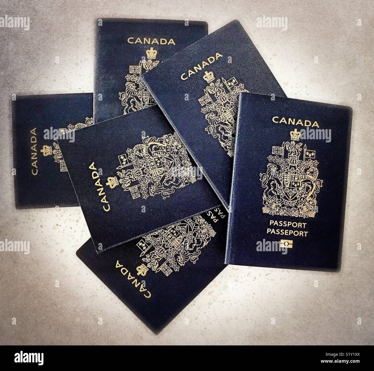 Six Canadian passports dropped on a table. - Smartphone Captured Stock Image