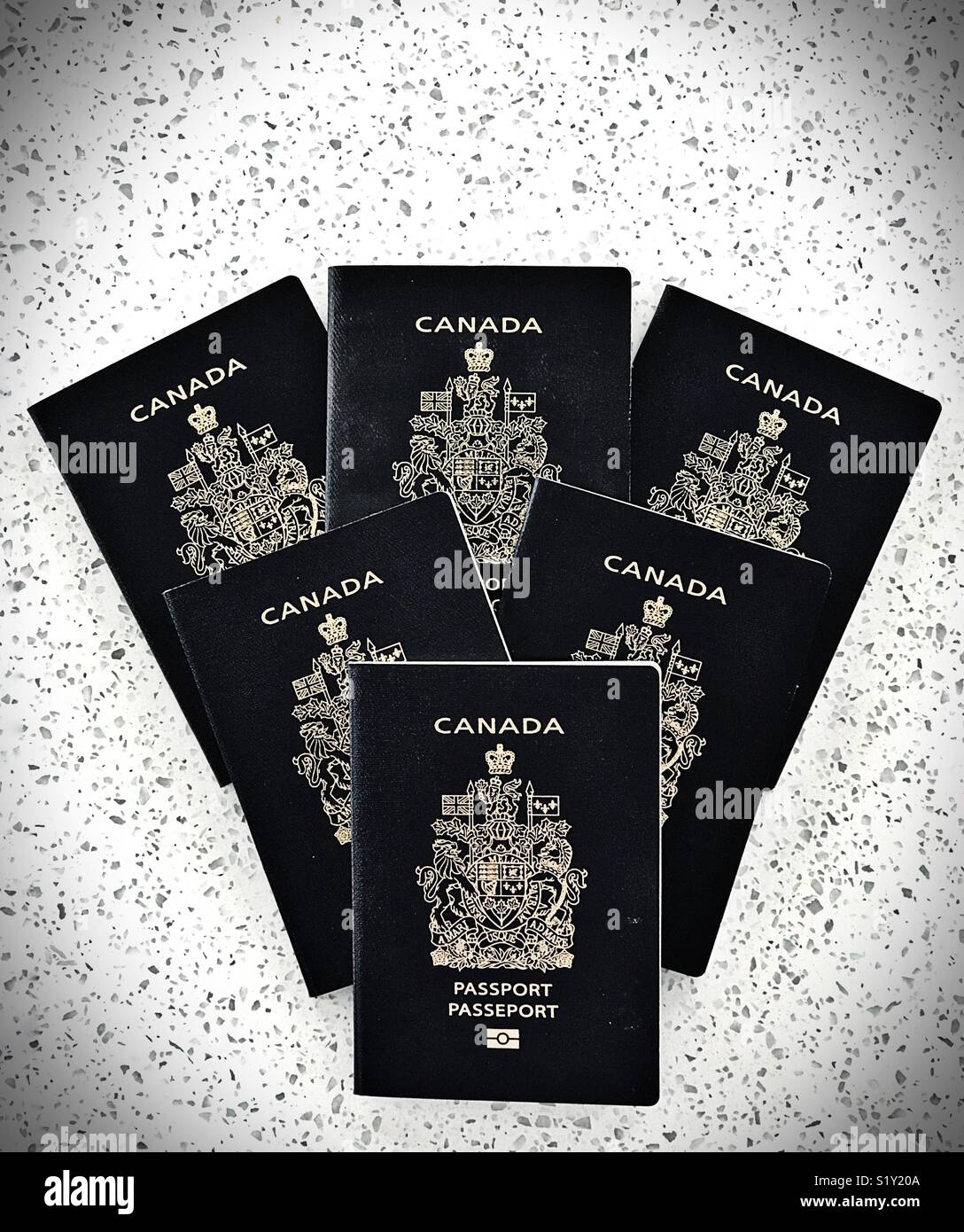Six Canadian passports in a shell shape. - Smartphone Captured Stock Image