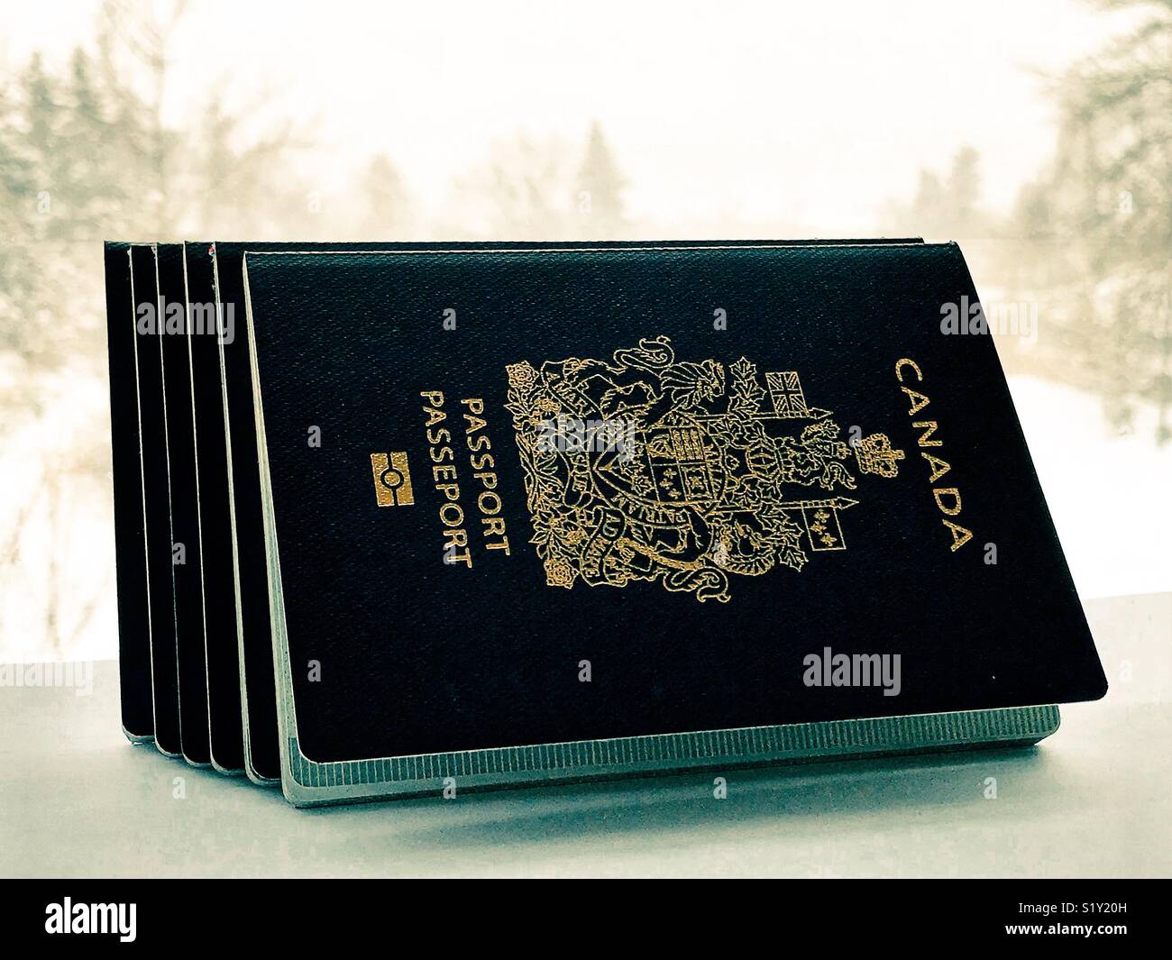 Six Canadian passports on a windowsill. - Smartphone Captured Stock Image
