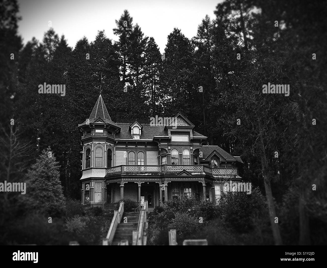 Shelton McMurphy Johnson house in Eugene, Oregon, USA Stock Photo Alamy