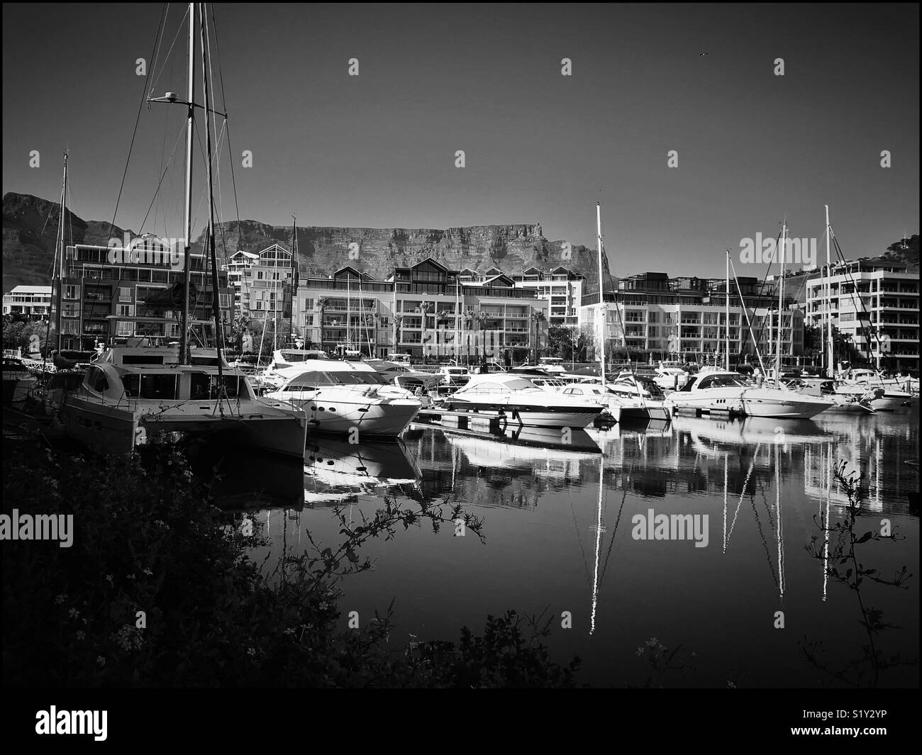 Black and white photo of the V&A Waterfront with Table Mountain in the background. - Smartphone Captured Stock Image