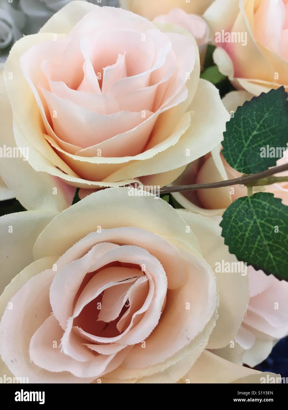 Fake roses with leaves Stock Photo Alamy