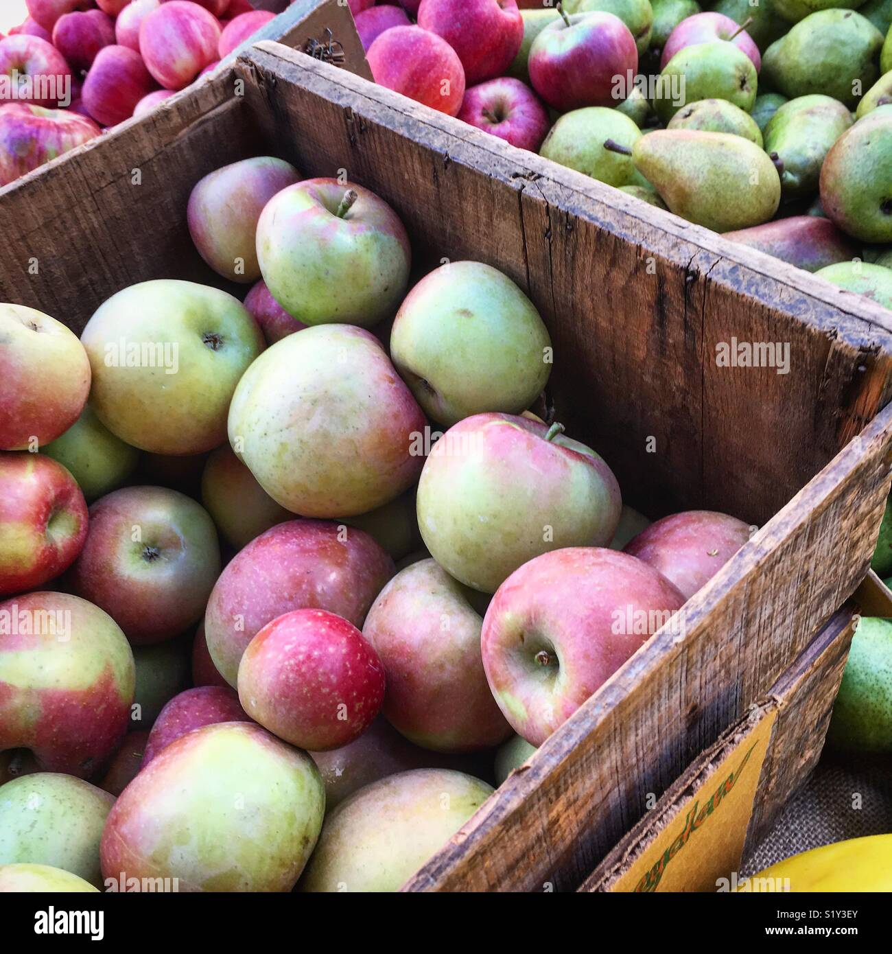 Crates of crisp apples Stock Photo Alamy