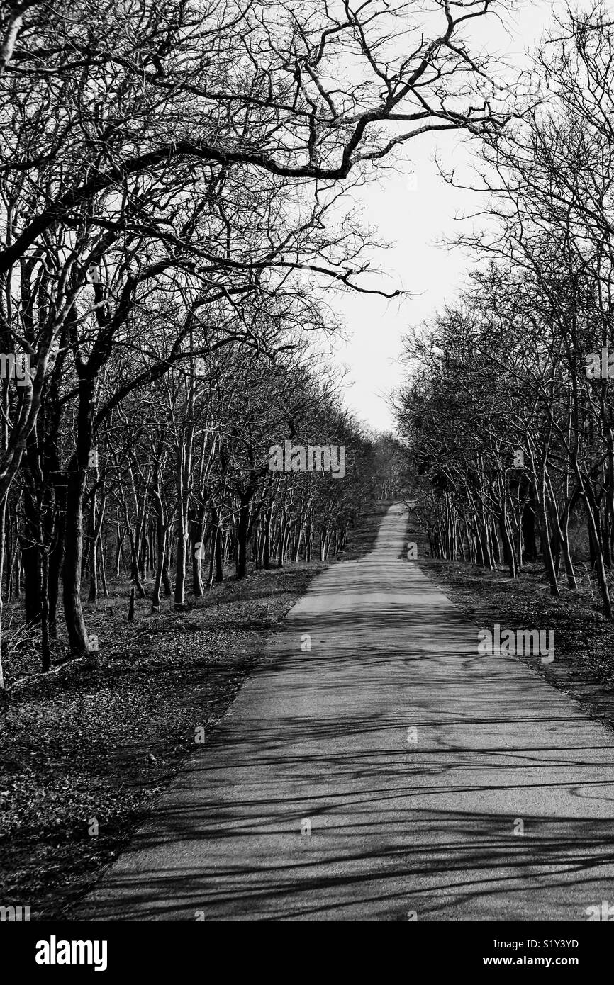 Long road ahead Stock Photo Alamy