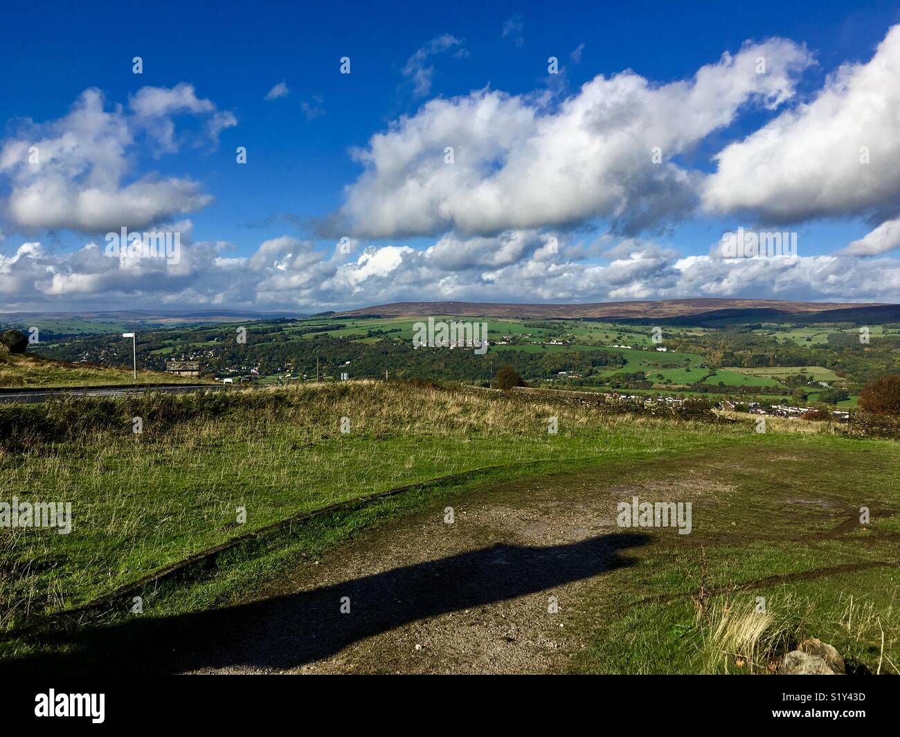 Cow & Calf Ilkley Moor Yorkshire Stock Photo Alamy