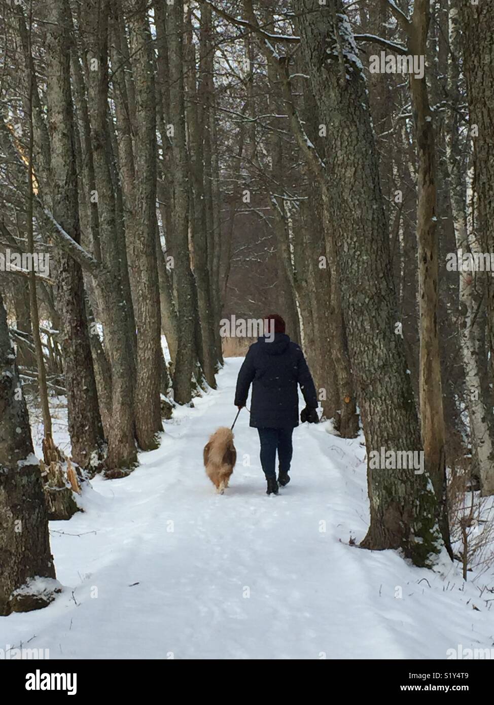 Women and dog walking - Smartphone Captured Stock Image