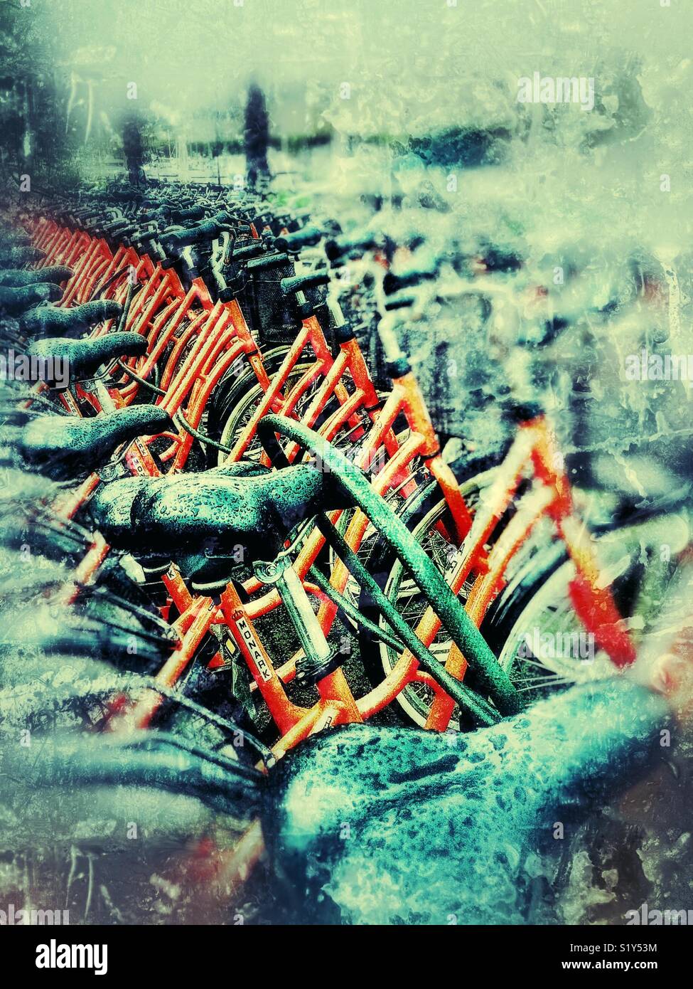 Multiple wet rental bikes in the rain, Stockholm, Sweden, Scandinavia - Smartphone Captured Stock Image