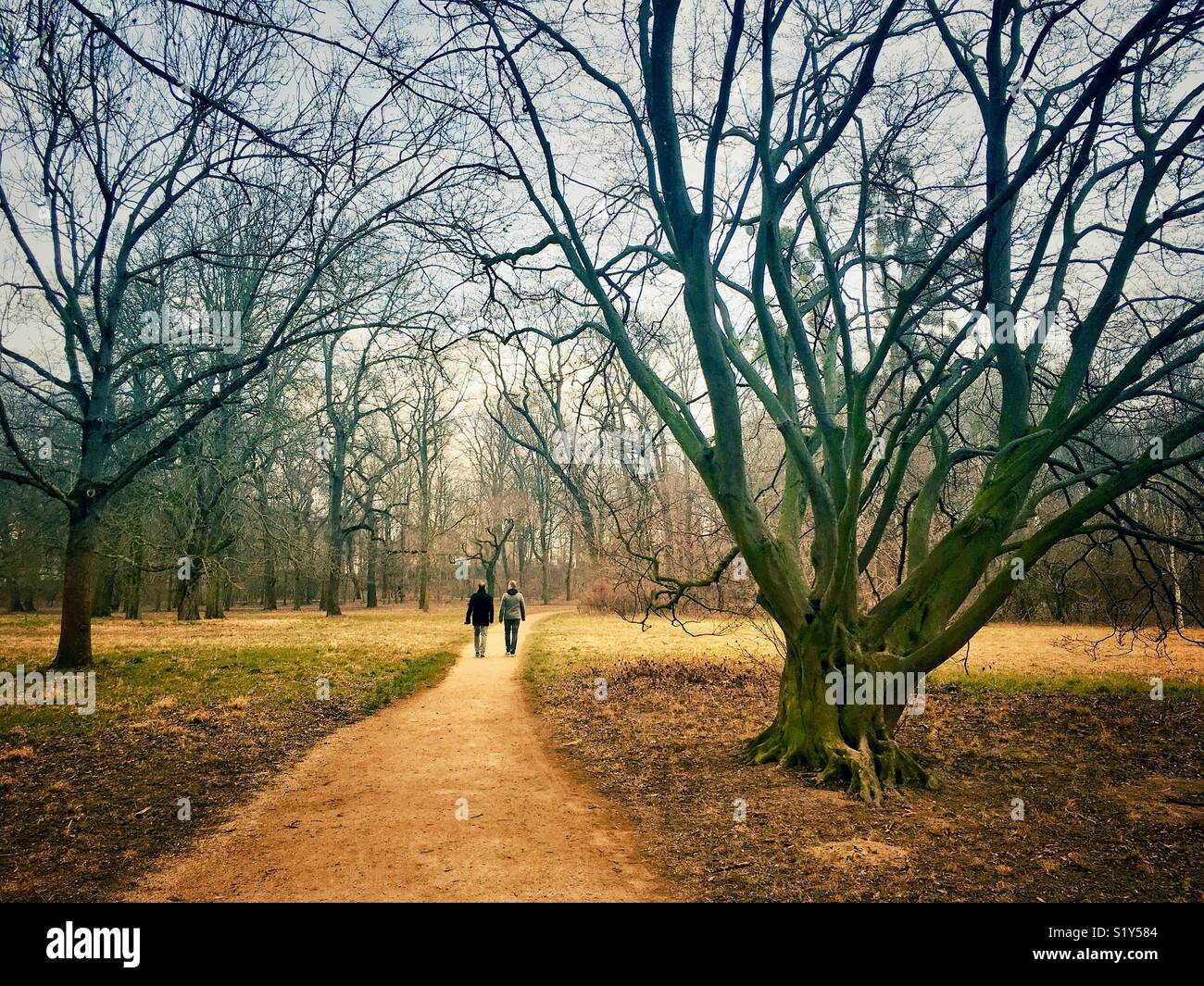 Two people walking along a path through a park in winter, Waldpark, Mannheim, Baden-Württemberg, Germany Stock Photo