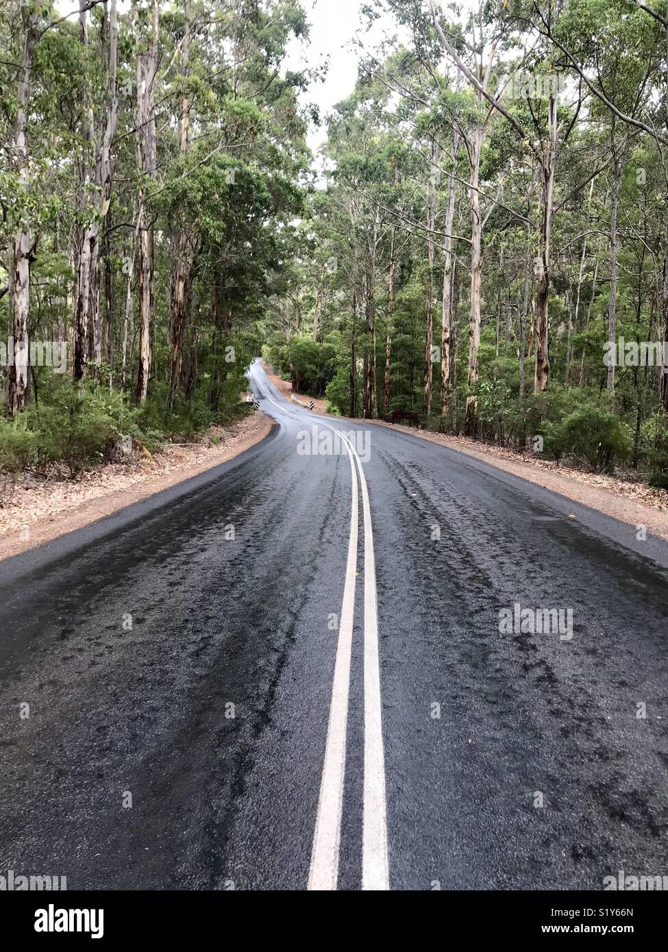 Margaret River Caves Road Stock Photo Alamy
