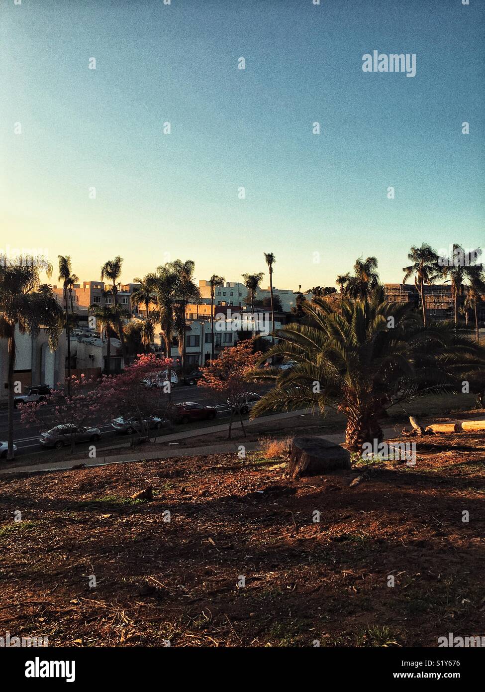Views from Bankers Hill in San Diego, CA Stock Photo Alamy
