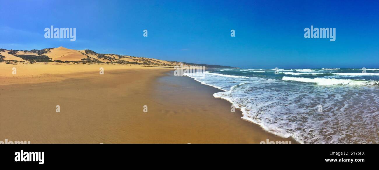 Wild Coast Beach Panorama - Smartphone Captured Stock Image
