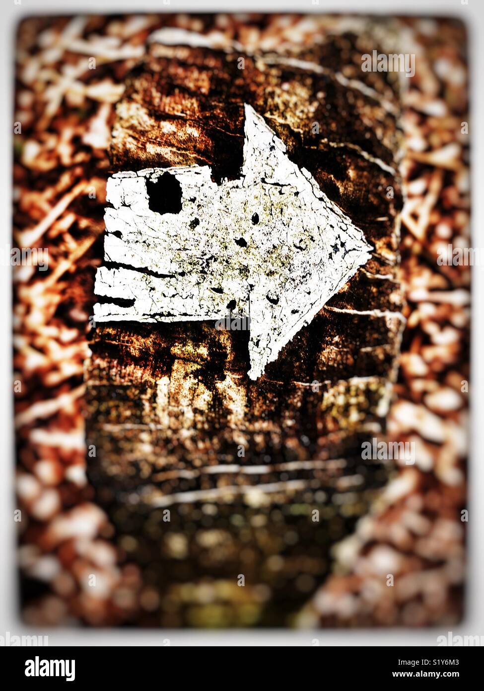 Forest footpath indicator - Smartphone Captured Stock Image