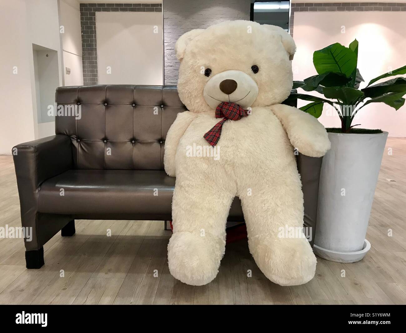 Giant teddy bear in a minimalist setting - Smartphone Captured Stock Image