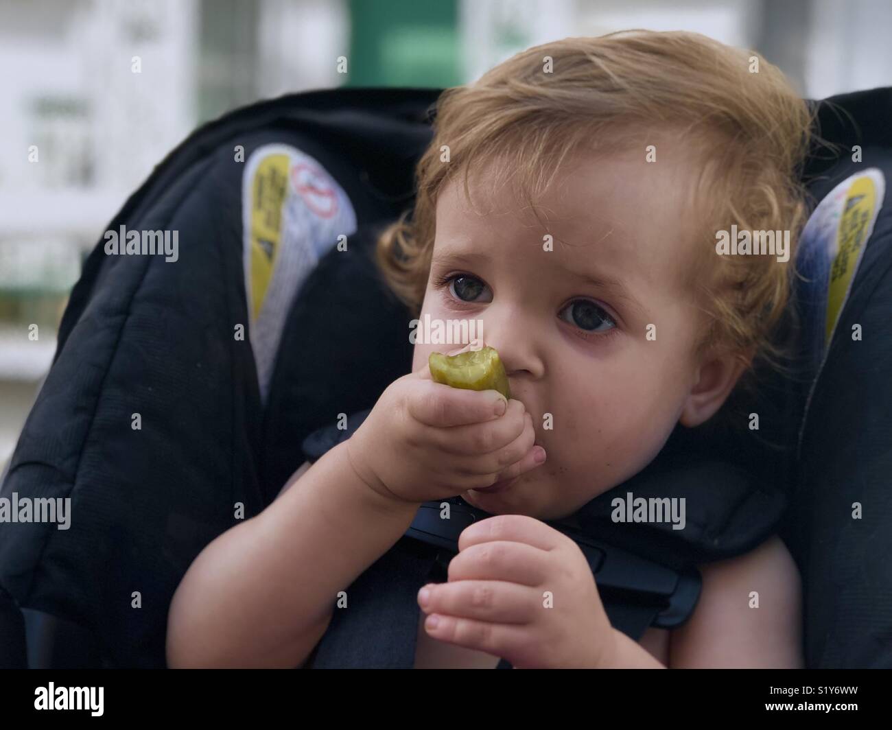 Baby eats a pickle. Stock Photo