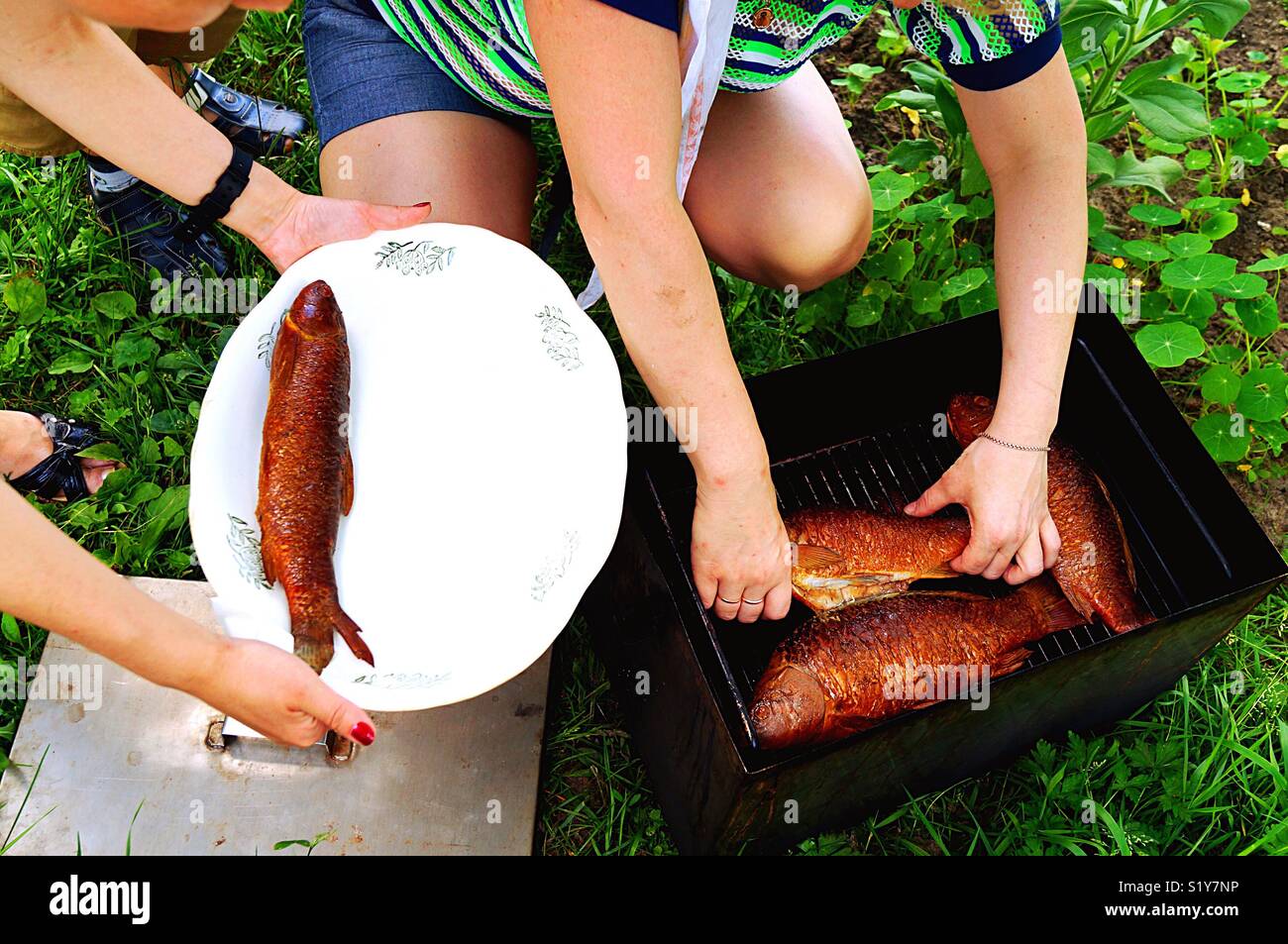 fish from the smokehouse - Smartphone Captured Stock Image