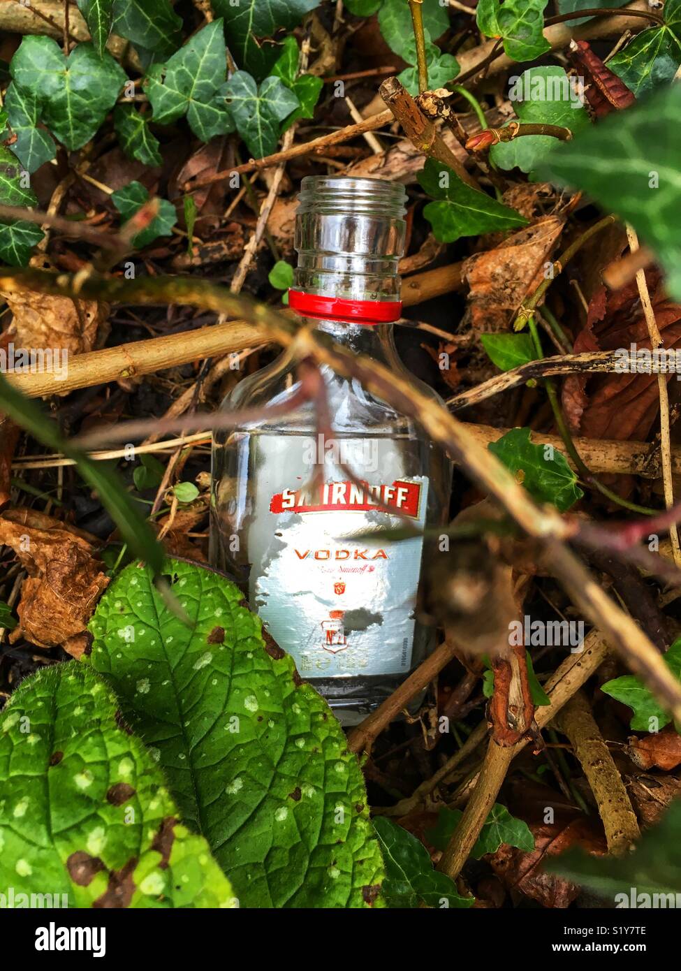 A Smirnoff vodka bottle in a bush - Smartphone Captured Stock Image