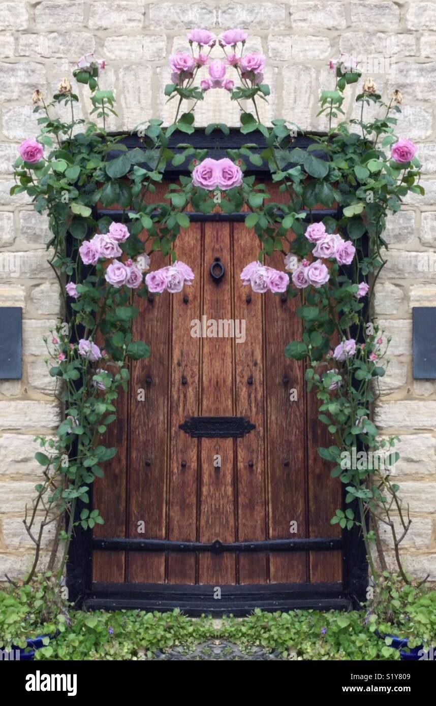 Roses over the Door Stock Photo Alamy