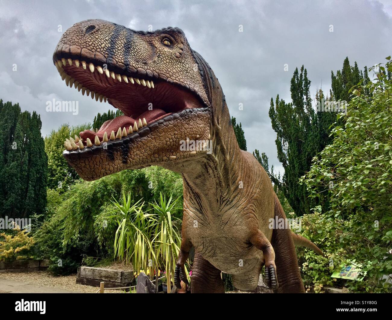 Sharp teeth dinosaur hi-res stock photography and images - Alamy