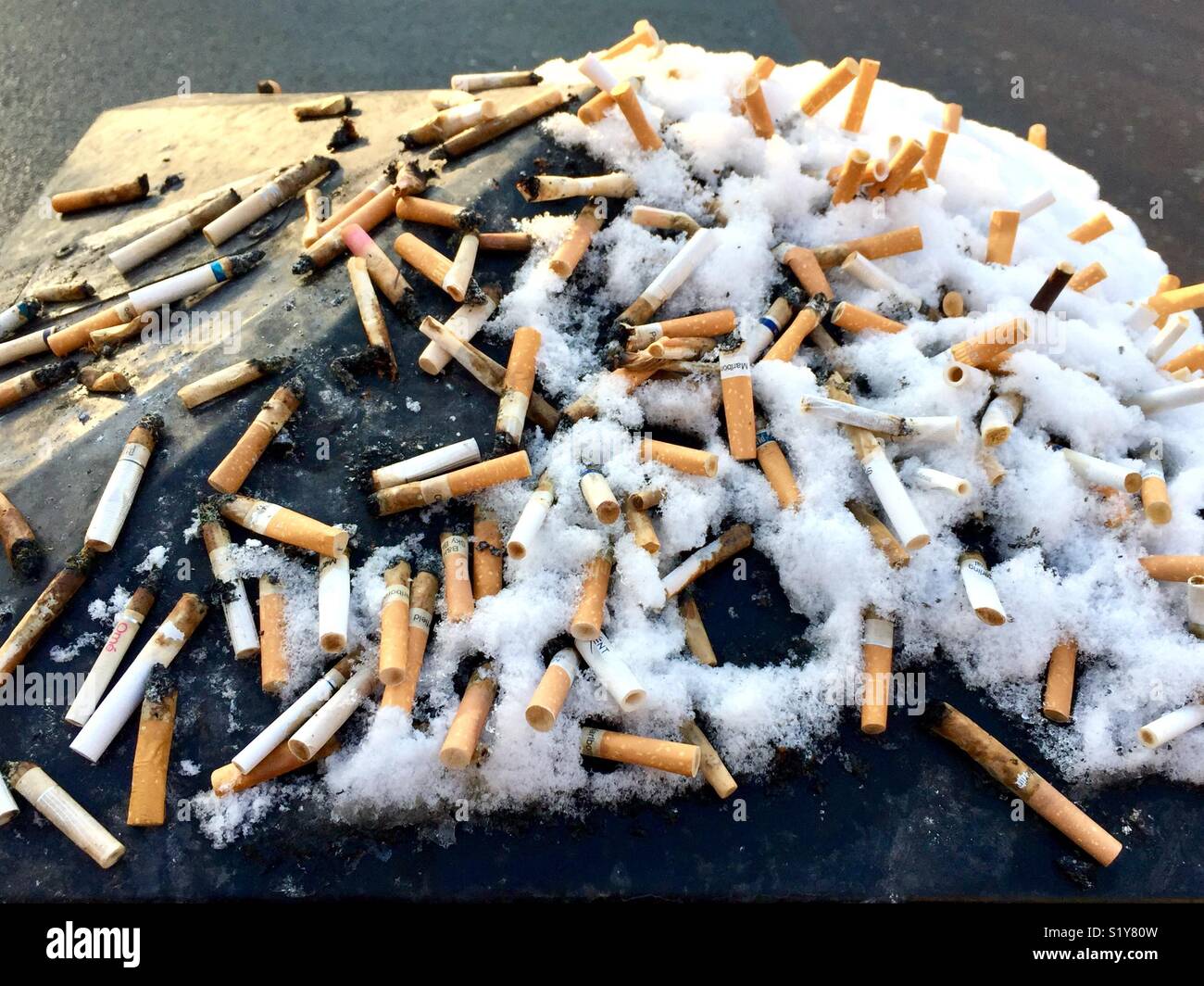 Cigarette ends stubbed out on top of snow covered street bin in London in the winter Stock Photo