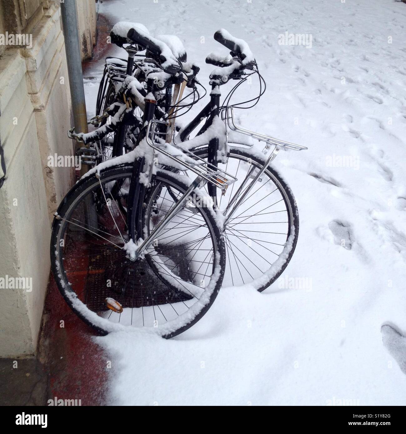 Bicycles under the snow - Smartphone Captured Stock Image