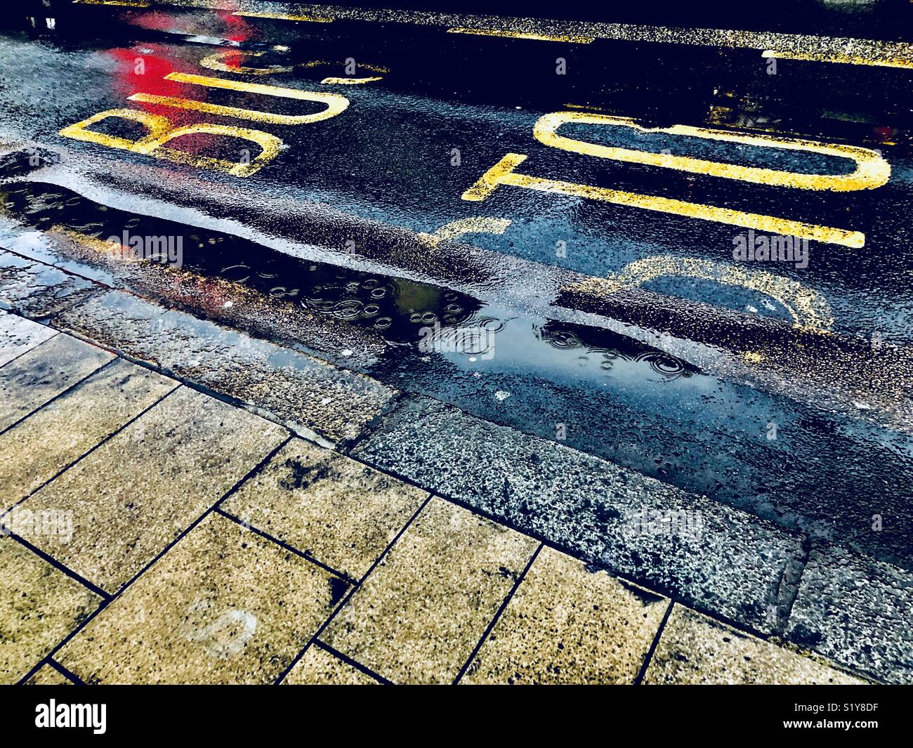 A Very wet Rain in London reflected on a bus stop sign on a road - Smartphone Captured Stock Image