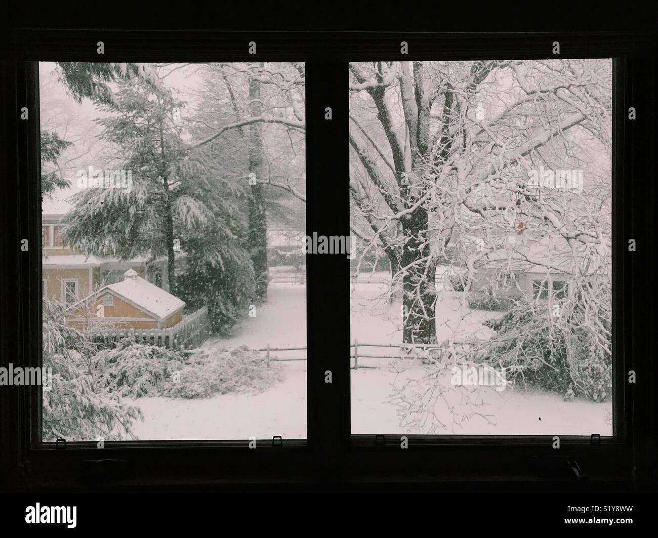 View from a window, snowfall in New Jersey, USA. - Smartphone Captured Stock Image