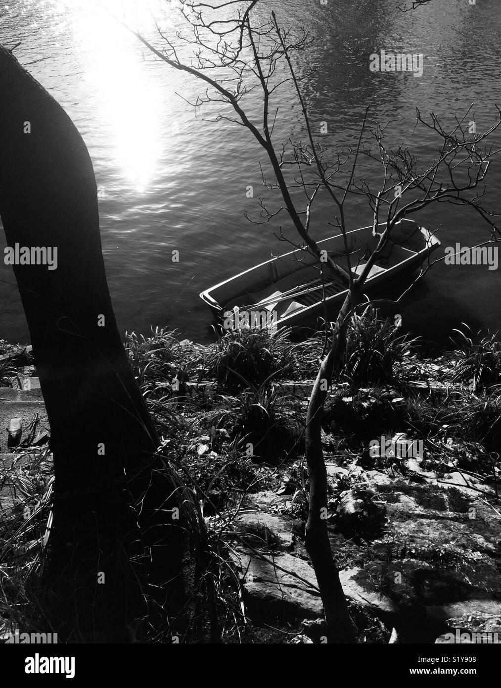 Rowing Boat by Thames riverbank - Smartphone Captured Stock Image