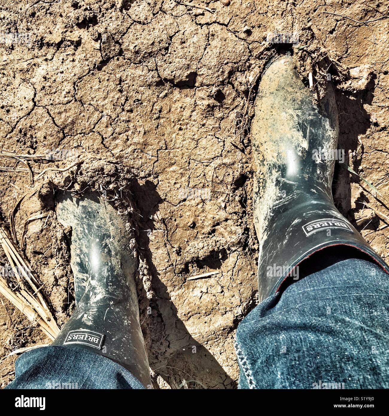POV muddy boots in a muddy fiel Stock Photo - Alamy