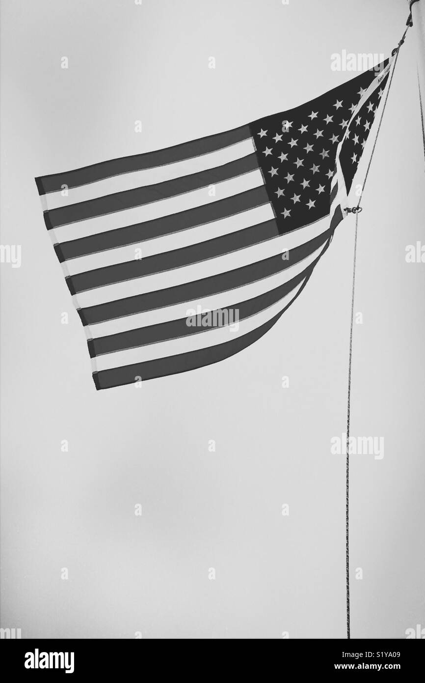 U.S. flag flies. Stock Photo