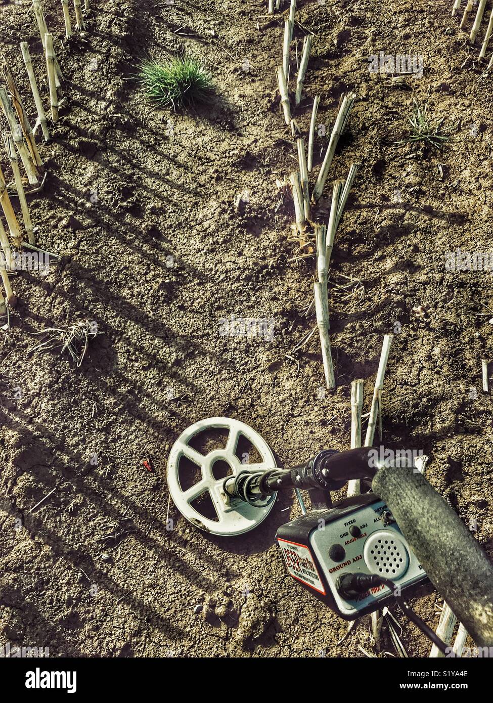 POV metal detecting in a stubble field, Somerset, England Stock Photo