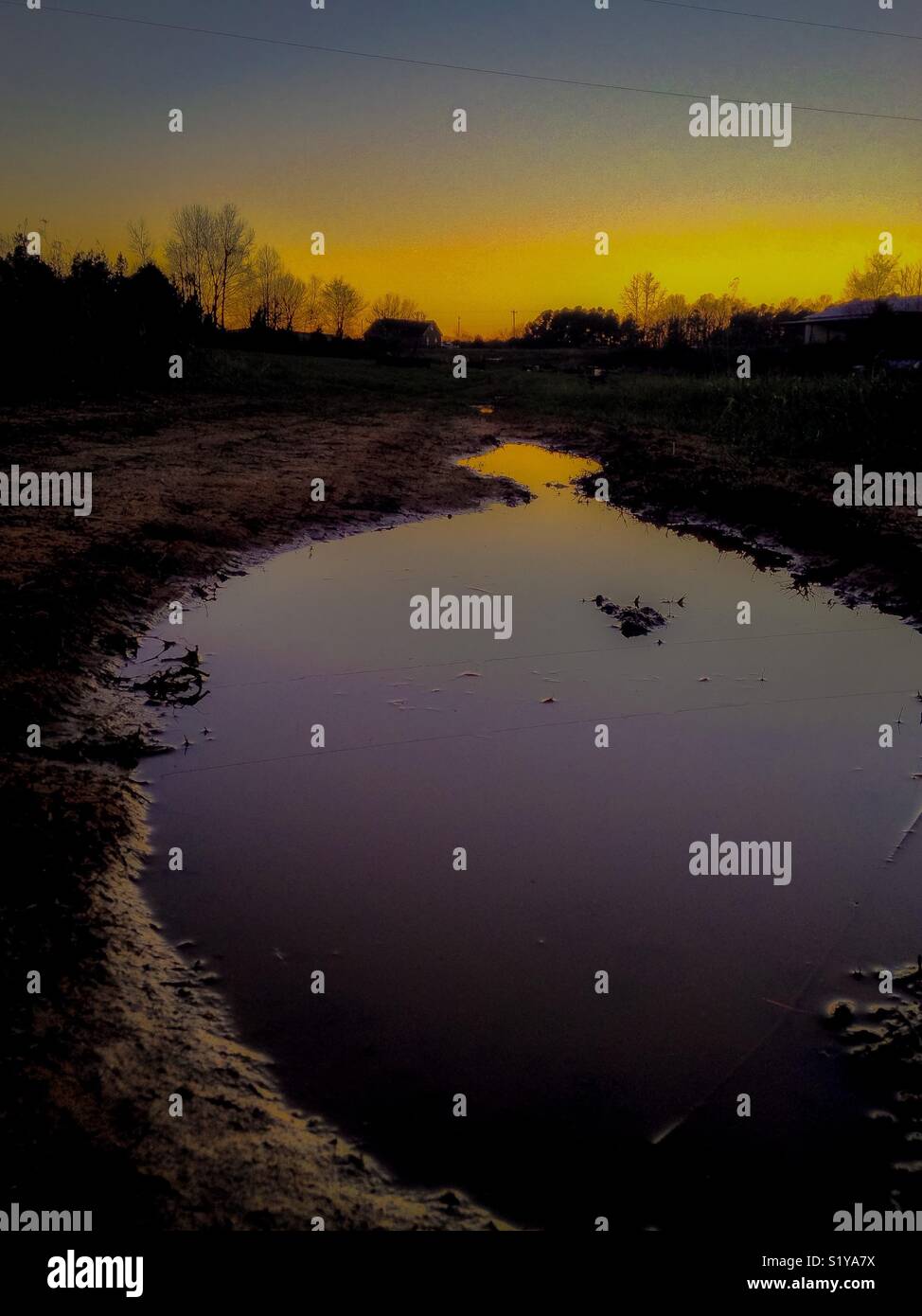 Yellow sunset and reflection in puddle over farm field - Smartphone Captured Stock Image Yellow sunset and reflection in puddle over farm field - Smartphone Captured Stock Image