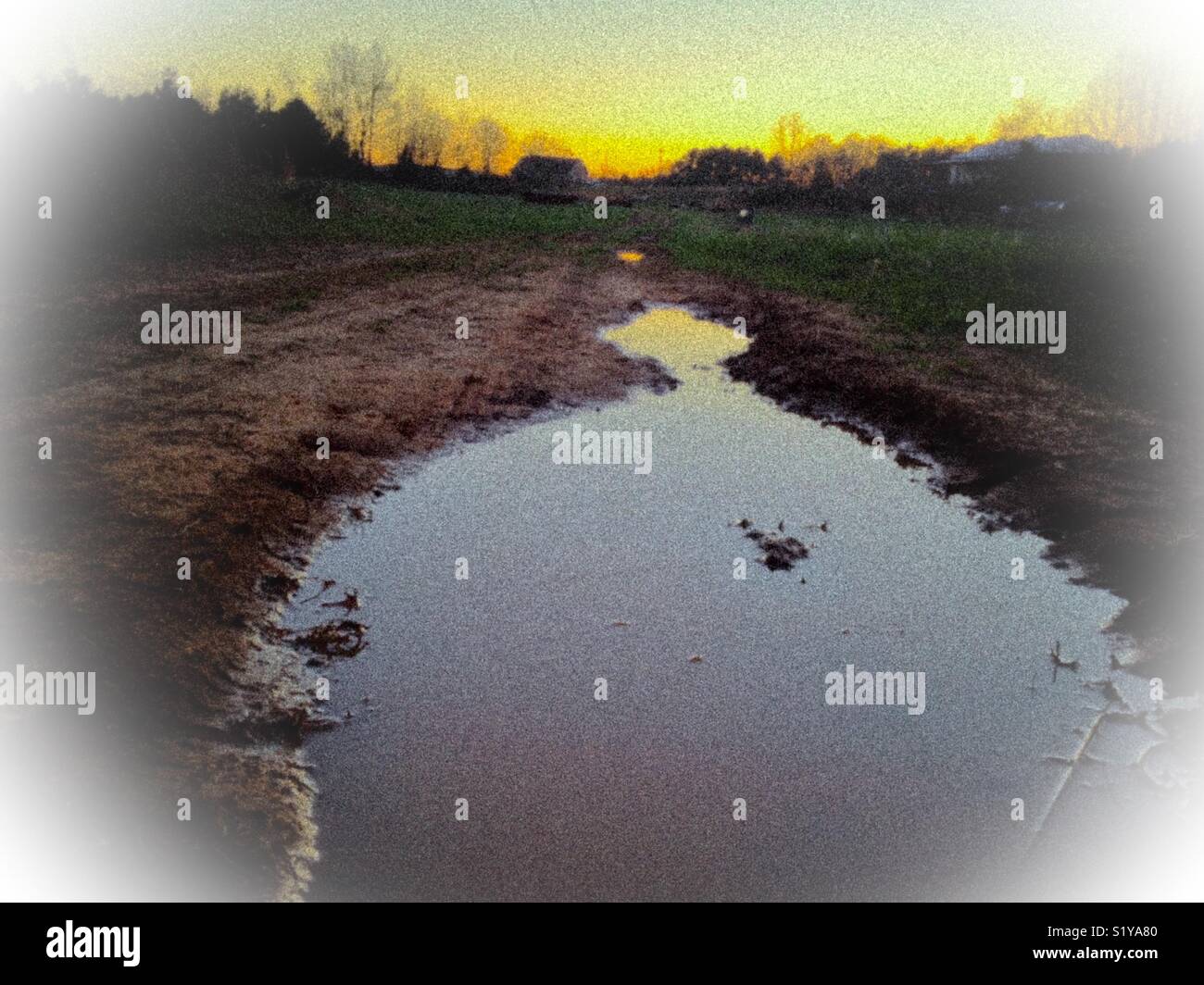 Vignetted photo of sunset over standing water in field - Smartphone Captured Stock Image