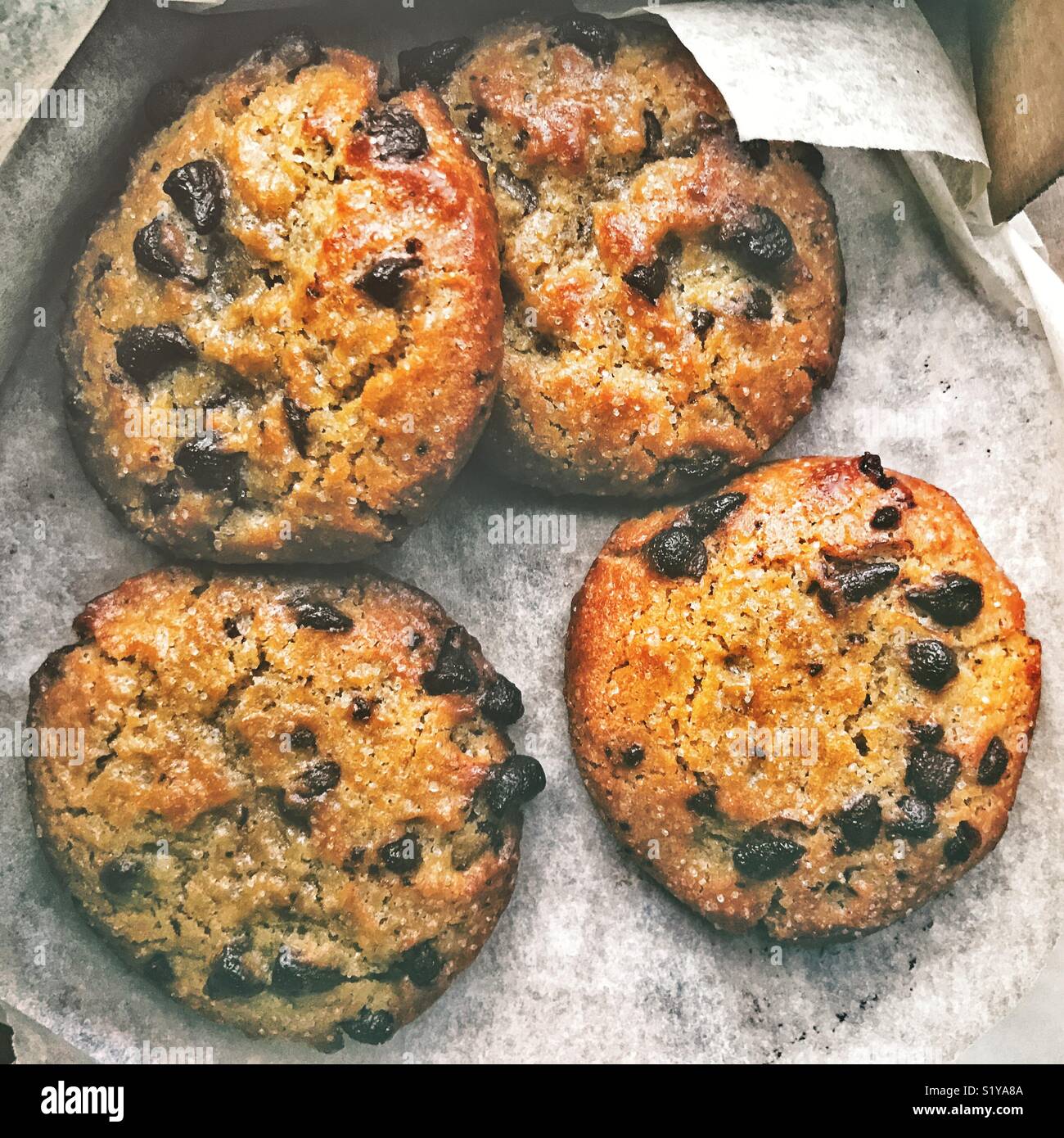 Box of chocolate chip cookies Stock Photo Alamy