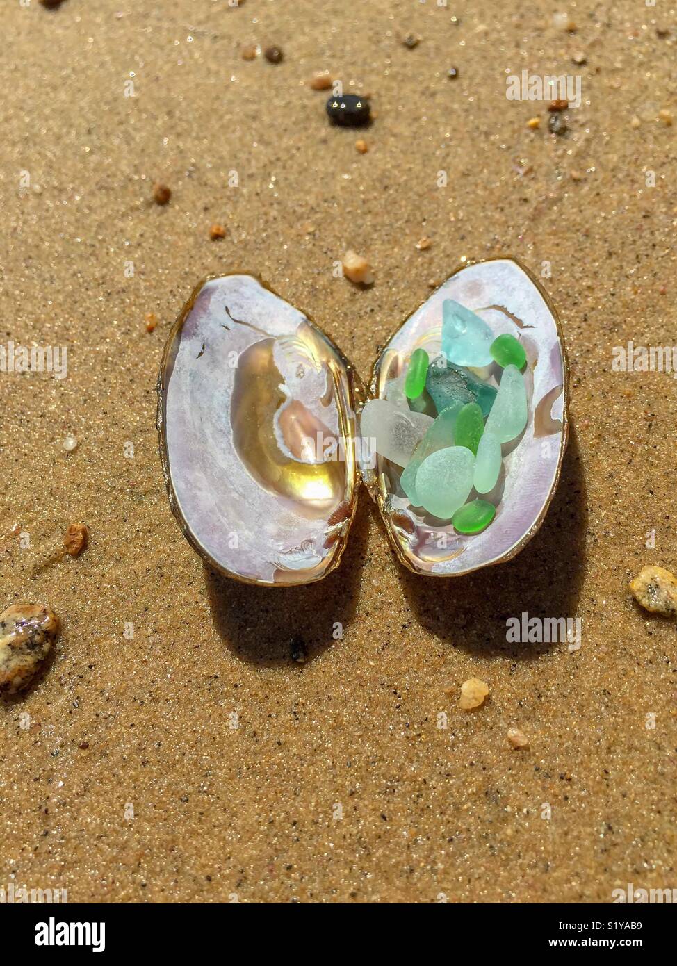 Open clam shell on sandy beach colorful sea glass - beach background with space for copy Stock Photo